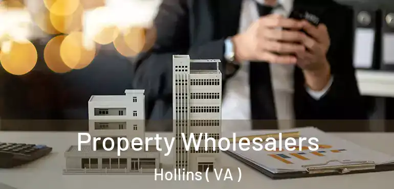  Property Wholesalers Hollins ( VA )