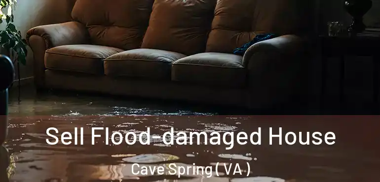  Sell Flood-damaged House Cave Spring ( VA )