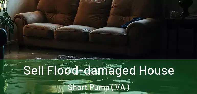  Sell Flood-damaged House Short Pump ( VA )