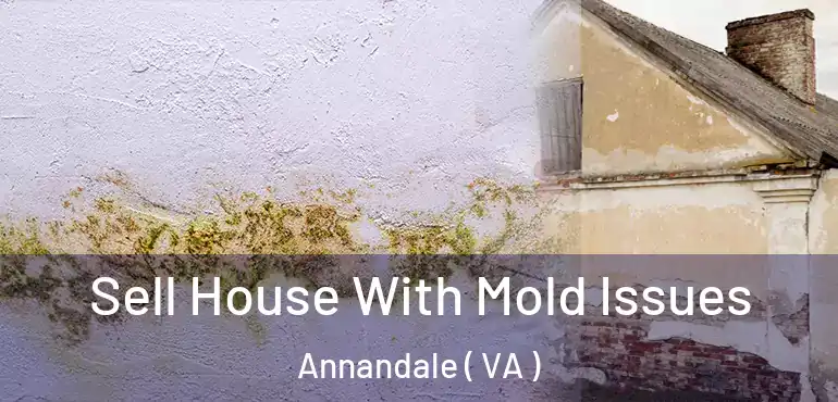  Sell House With Mold Issues Annandale ( VA )