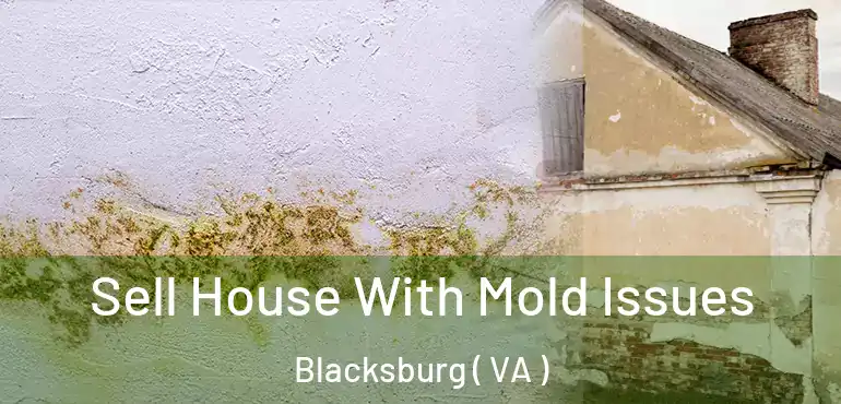  Sell House With Mold Issues Blacksburg ( VA )