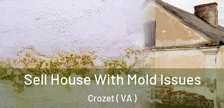  Sell House With Mold Issues Crozet ( VA )