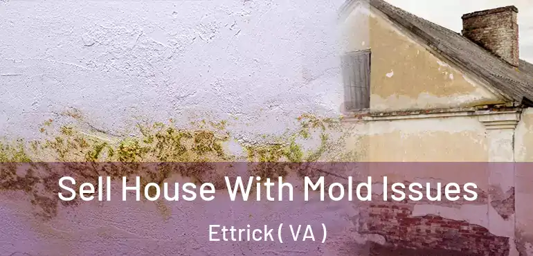  Sell House With Mold Issues Ettrick ( VA )