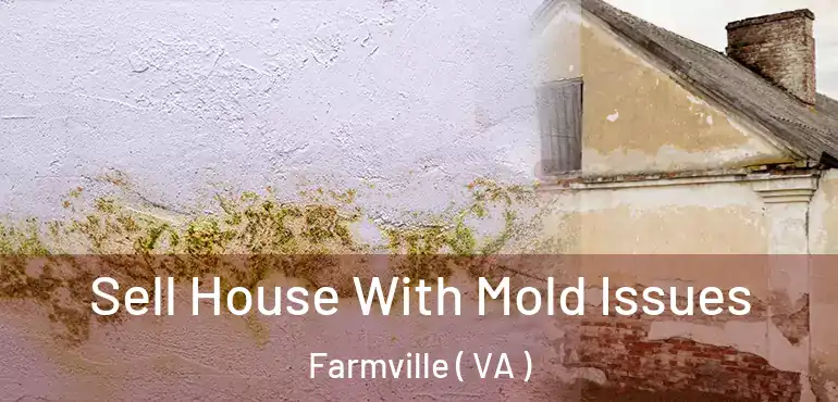  Sell House With Mold Issues Farmville ( VA )