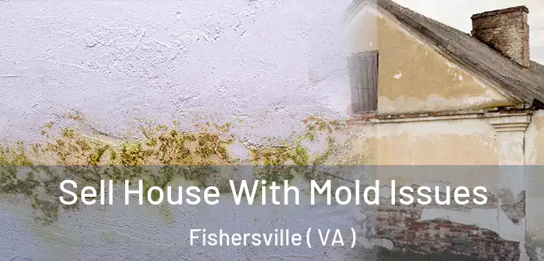  Sell House With Mold Issues Fishersville ( VA )