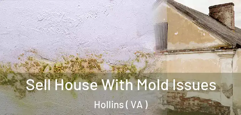  Sell House With Mold Issues Hollins ( VA )