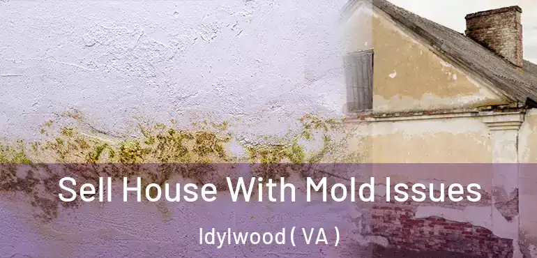  Sell House With Mold Issues Idylwood ( VA )