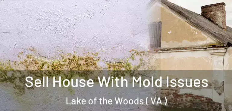  Sell House With Mold Issues Lake of the Woods ( VA )