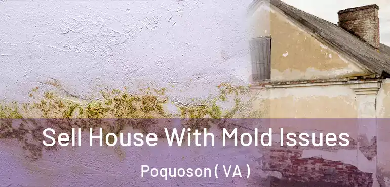  Sell House With Mold Issues Poquoson ( VA )