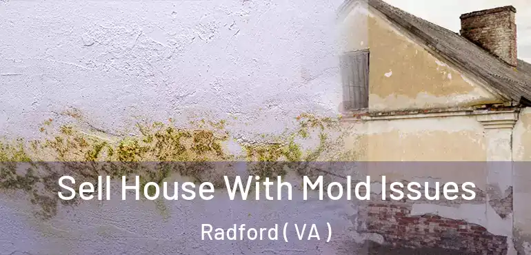  Sell House With Mold Issues Radford ( VA )