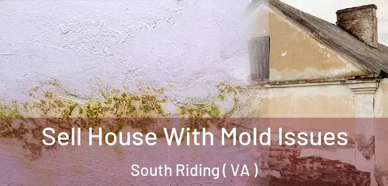 Sell House With Mold Issues South Riding ( VA )