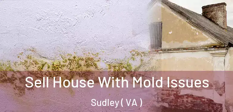  Sell House With Mold Issues Sudley ( VA )