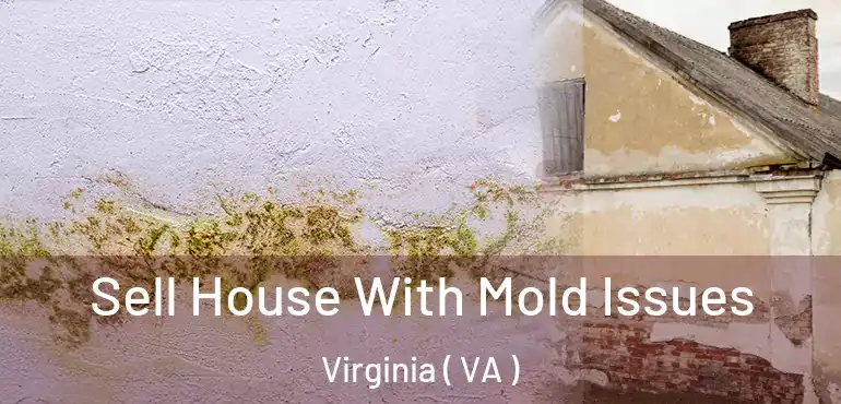  Sell House With Mold Issues Virginia ( VA )