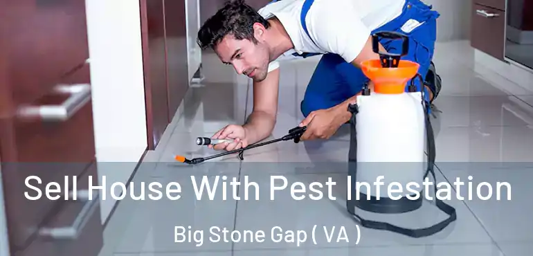 Sell House With Pest Infestation Big Stone Gap ( VA )