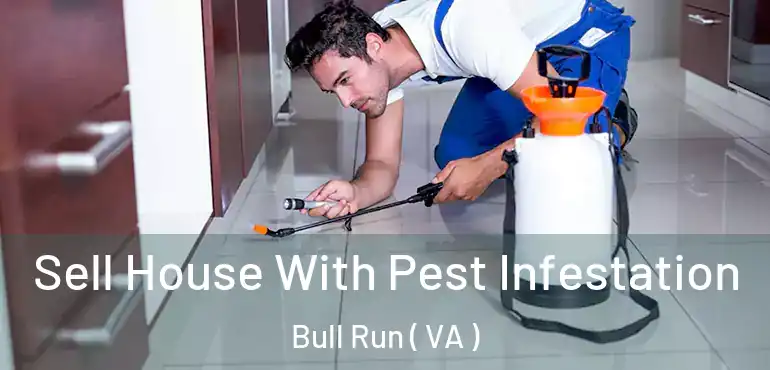  Sell House With Pest Infestation Bull Run ( VA )