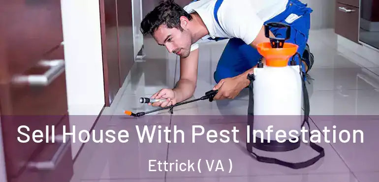  Sell House With Pest Infestation Ettrick ( VA )