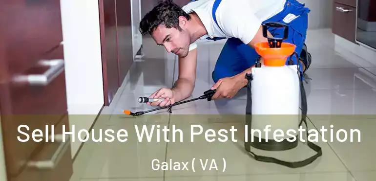  Sell House With Pest Infestation Galax ( VA )